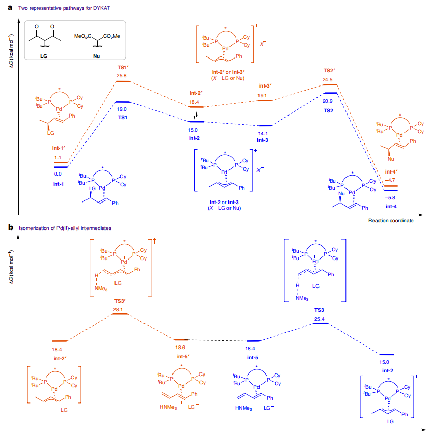 聯手導師共同通訊，上海有機所，最新Nature Synthesis！