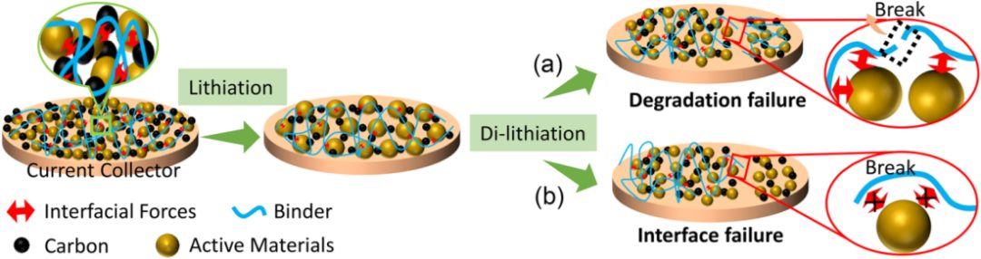 北京大學孟鴻教授&聯手黃維院士，最新Chem. Soc. Rev.綜述！