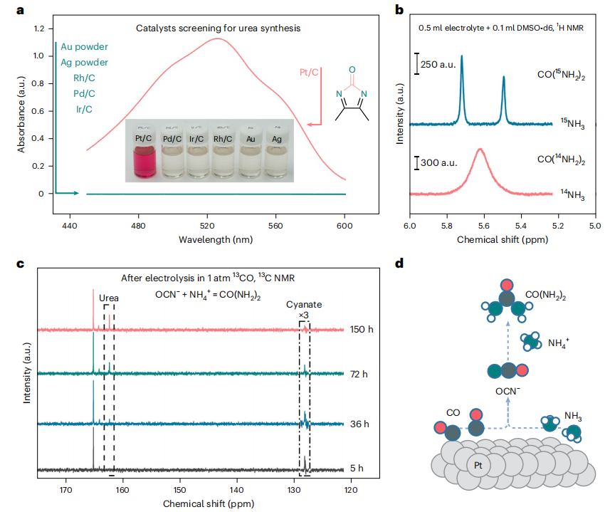 陸奇/徐冰君/程濤，最新Nature Catalysis！