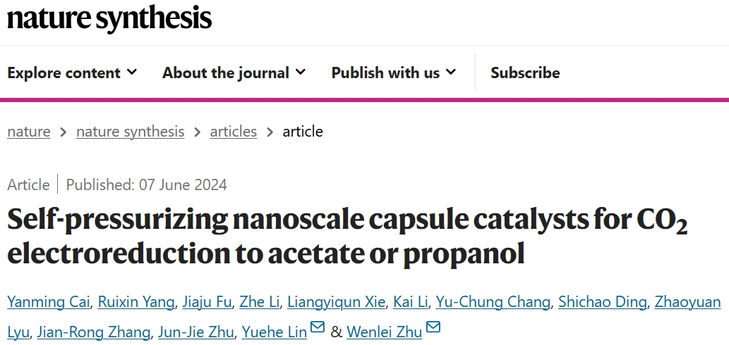 朱文磊/林躍河，最新Nature Synthesis！