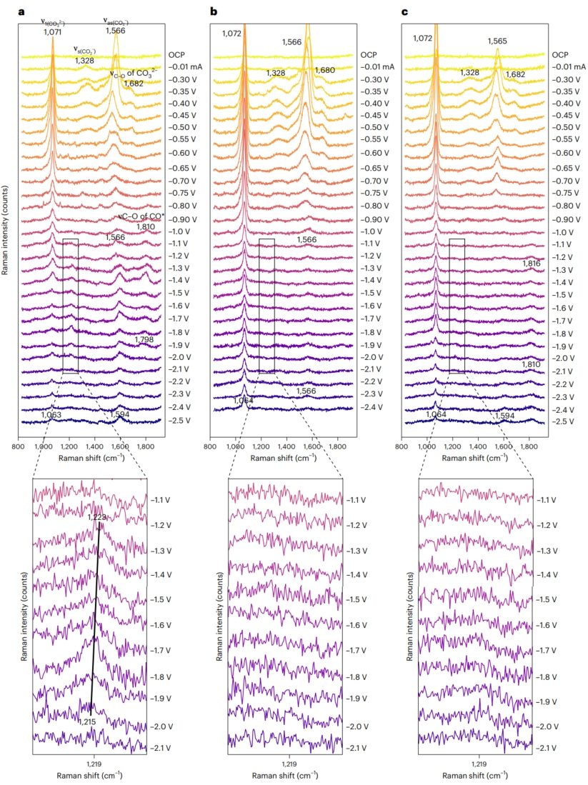 朱文磊/林躍河，最新Nature Synthesis！