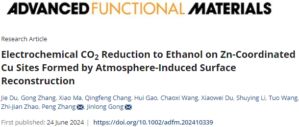 天津大學鞏金龍團隊，最新AFM！