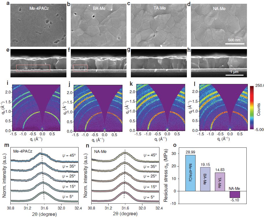 華中科技大學，最新Nature！
