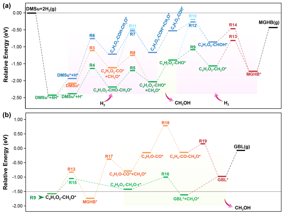 天津大學余英哲，最新ACS Catalysis！