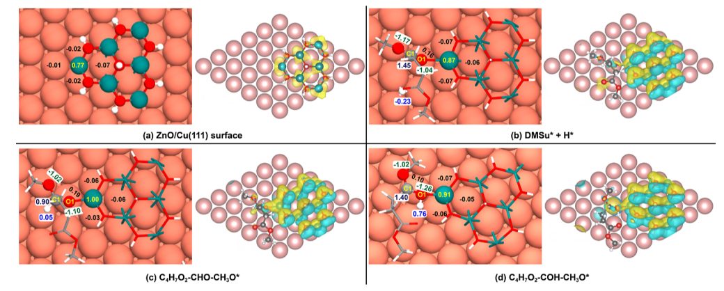天津大學余英哲，最新ACS Catalysis！