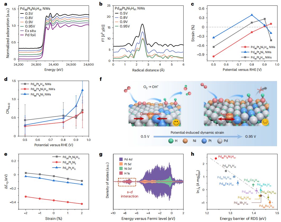 繼Nature Materials后，華科李箐再發Nature Catalysis！
