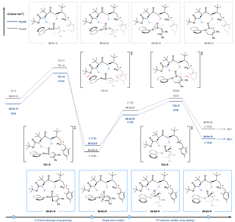 四川大學(xué)，最新Nature子刊！