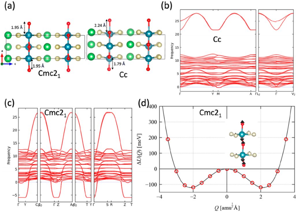 電池女王Linda F. Nazar，最新JACS！