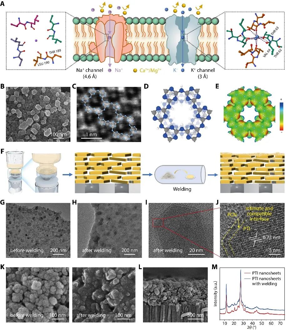 中科院青島能源所劉健&高軍團隊Science Advances：“同源焊接”結晶/無定形氮化碳復合膜鹽湖提鋰：又準又穩