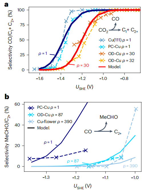 德國馬普所，重磅Nature Catalysis！