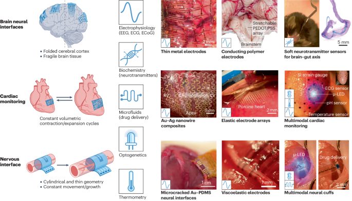 鮑哲南院士，最新Nature Reviews Bioengineering！