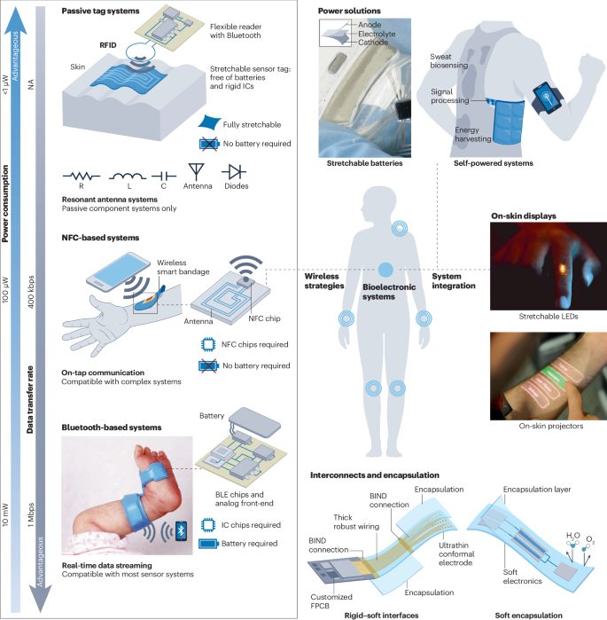鮑哲南院士，最新Nature Reviews Bioengineering！