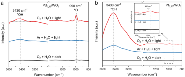 2023新晉中科院院士，最新JACS！