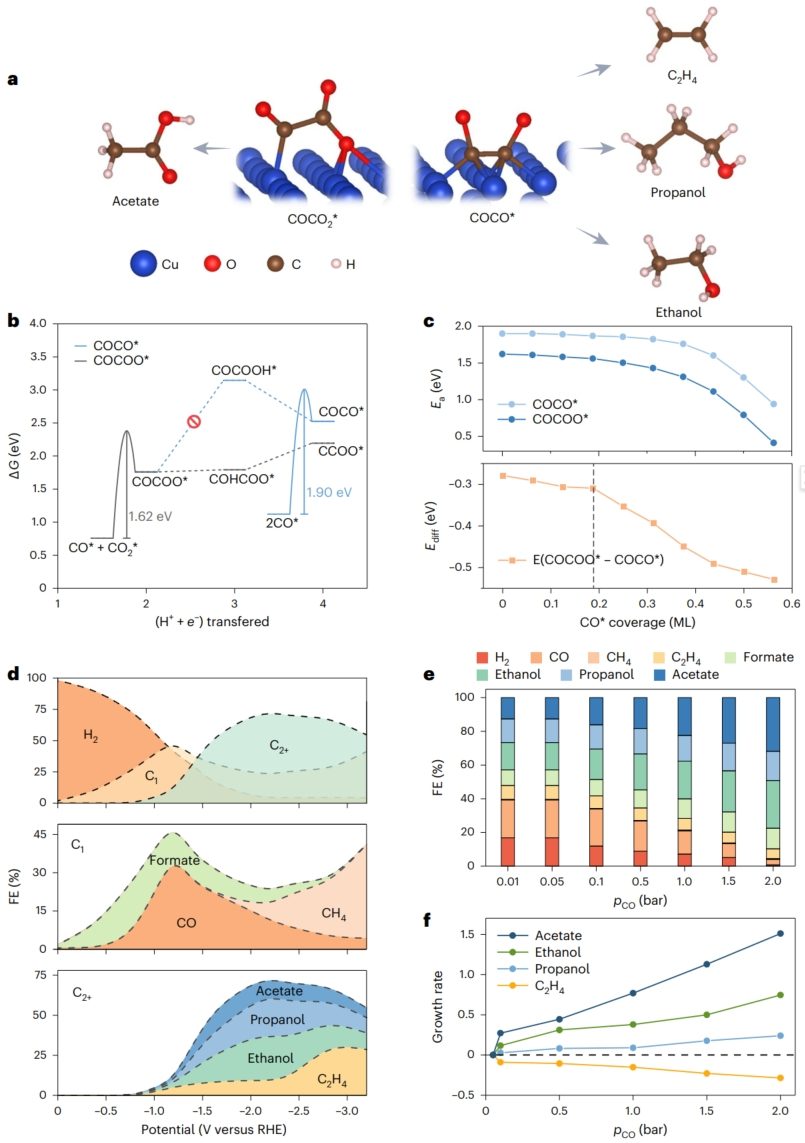 南京大學「國家級青年人才」聯手「院士」團隊，新發Nature Synthesis！