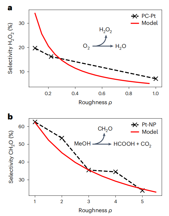 德國馬普所，重磅Nature Catalysis！