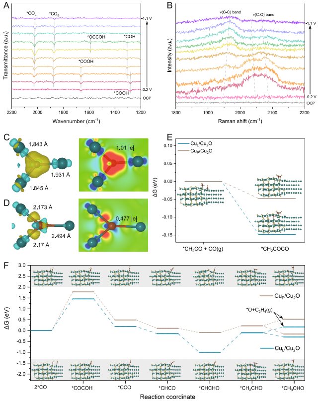 中科大章根強，最新Nature子刊！