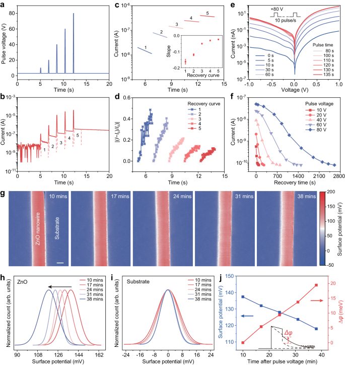 「長江學者」+90后碩導！蘭州大學，重磅Nature子刊！