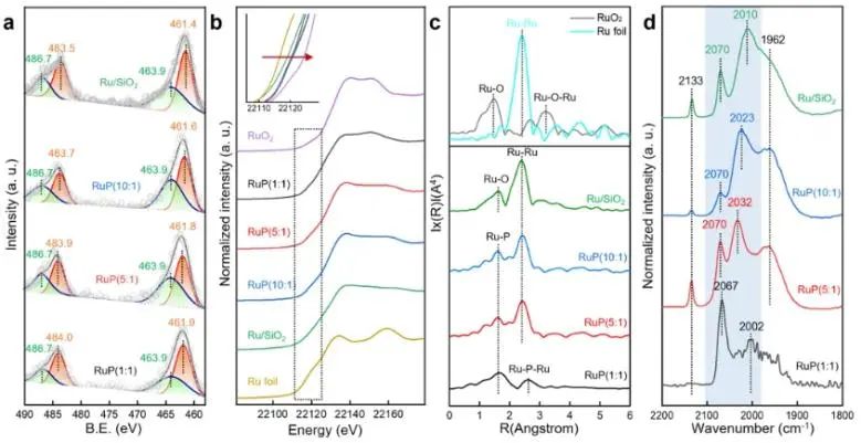 ?蘇州大學(xué)何樂/馮凱/李超然，最新ACS Catalysis！