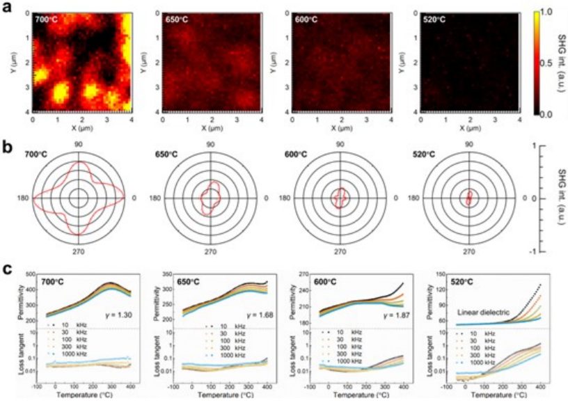清華大學(xué)林元華教授，最新AM！