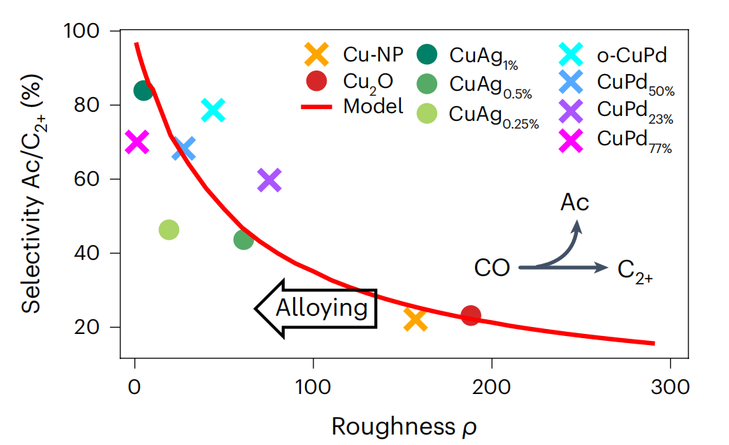 德國馬普所，重磅Nature Catalysis！