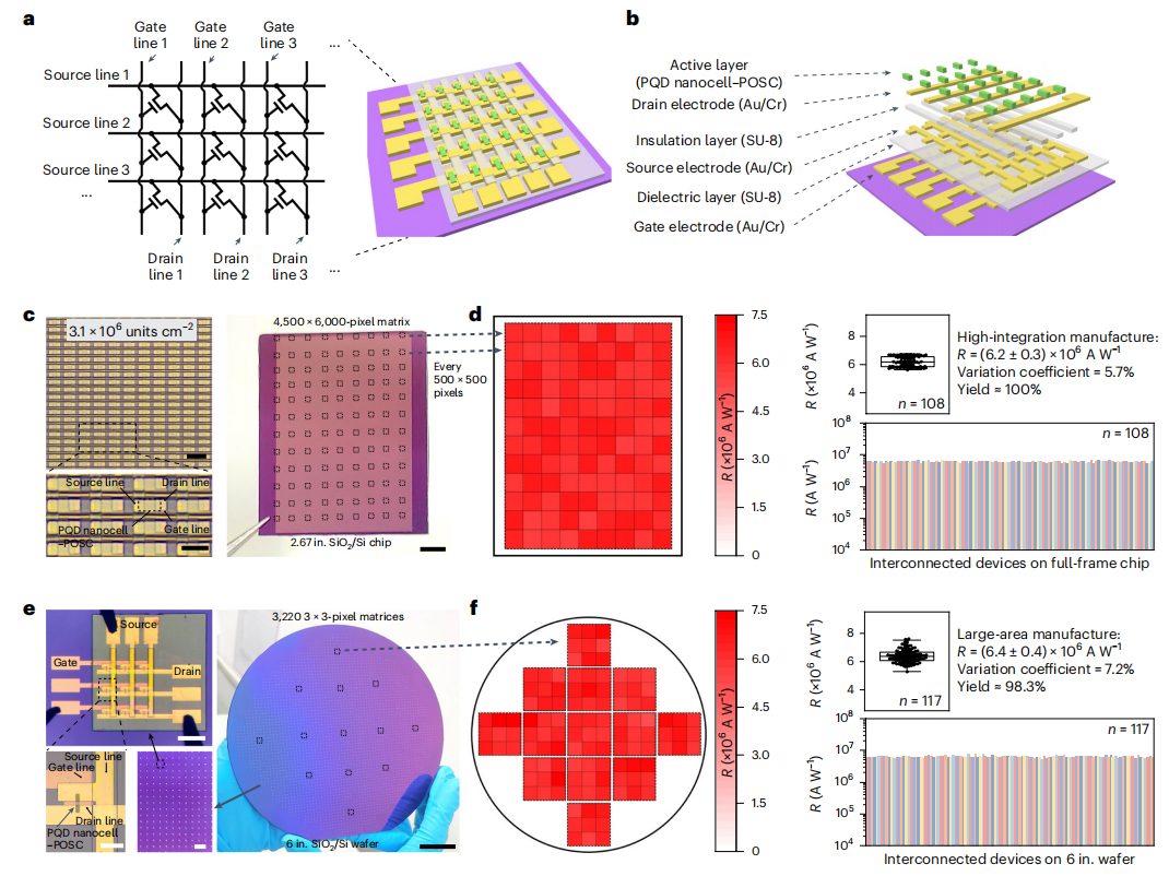 破解領域難題！復旦大學，最新Nature Nanotechnology！