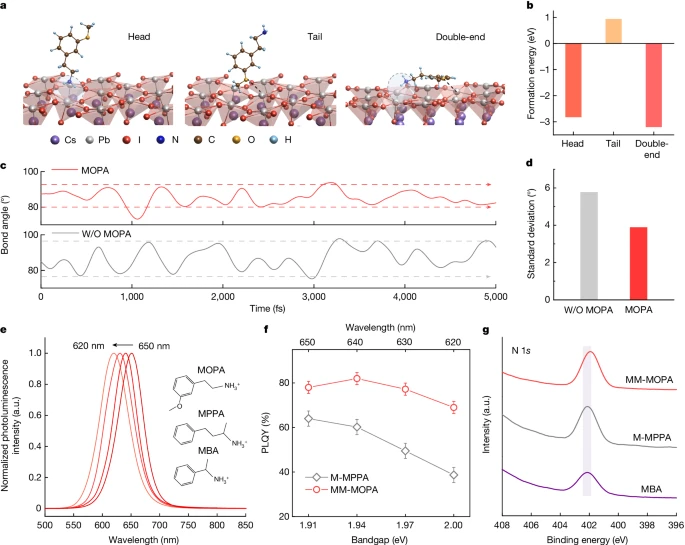 上海大學，2024年最新Nature！