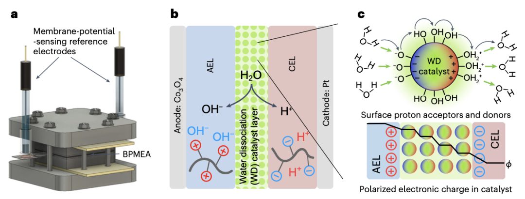 催化劑描述符，最新Nature Materials！
