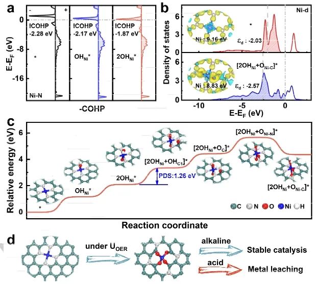 催化進展，8篇頂刊！EES、Angew、AFM、ACS Catalysis、Nano Letters等成果精選！