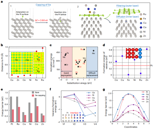 廈門大學「國家杰青」黃小青團隊，最新Nature Synthesis!