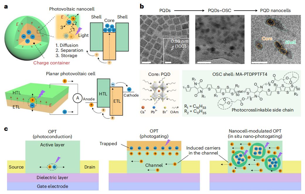 復旦大學，最新Nature Nanotechnology！