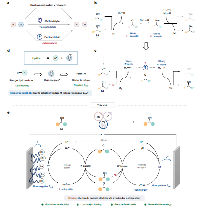 師承諾獎得主！南方科技大學，最新Nature Catalysis！