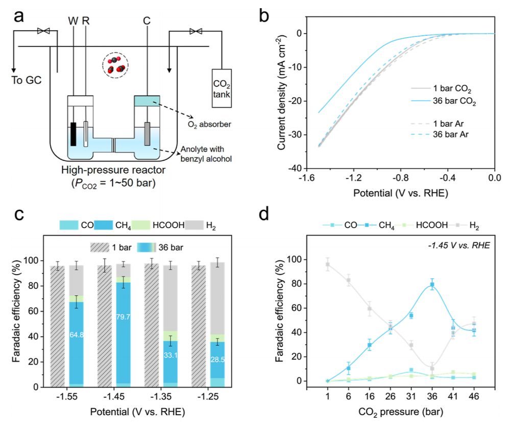 ?他，歸國(guó)3年獲「杰青」，發(fā)表最新JACS！