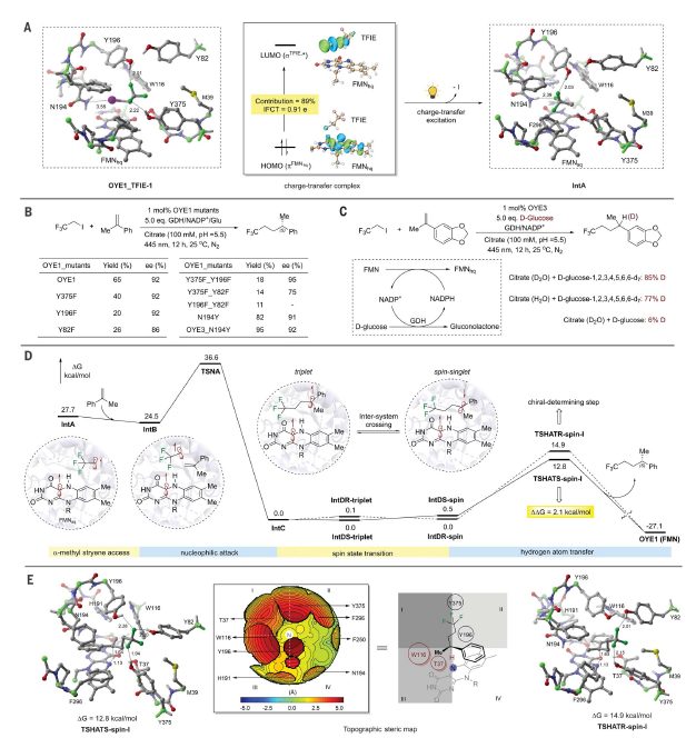 南開校友一作，中科大校友通訊！時隔一年，再發Science??！