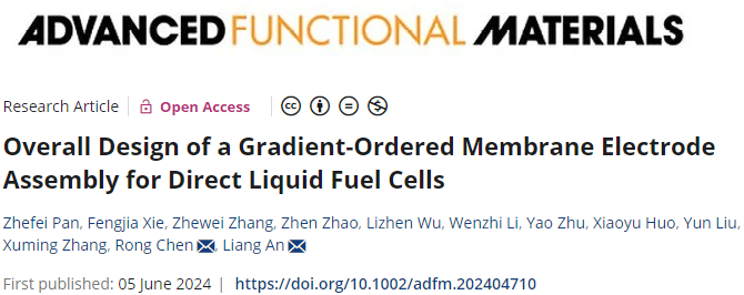 重慶大學潘哲飛/陳蓉和香港理工安亮，最新AFM！