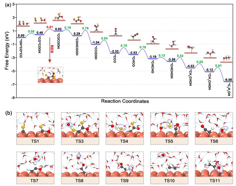 東南大學王金蘭/凌崇益團隊，最新ACS Catalysis！