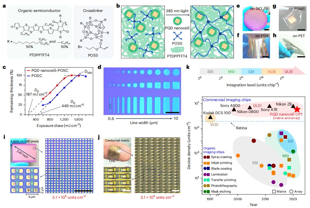 復旦大學，最新Nature Nanotechnology！