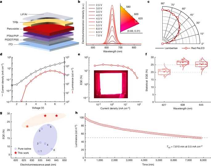 上海大學，2024年最新Nature！