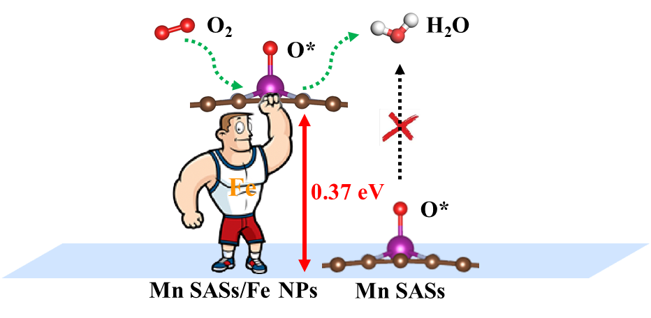 AFM！電子效應(yīng)誘導(dǎo)姜-泰勒畸變激活單原子氧還原活性