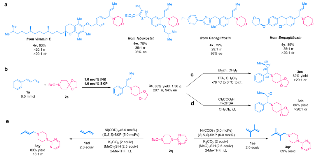 重磅！丁奎嶺院士，最新JACS！