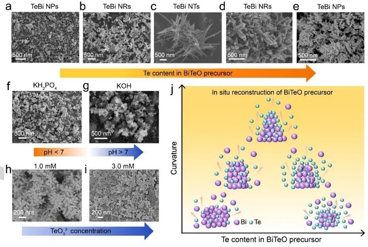 催化進展，8篇頂刊！EES、Angew、AFM、ACS Catalysis、Nano Letters等成果精選！