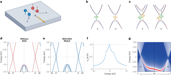 「諾獎得主」領(lǐng)銜，二維材料最新Nature Reviews Physics綜述！