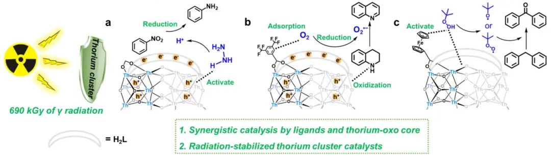 他，211「國家杰青」，東北師大本博，發(fā)表最新JACS！