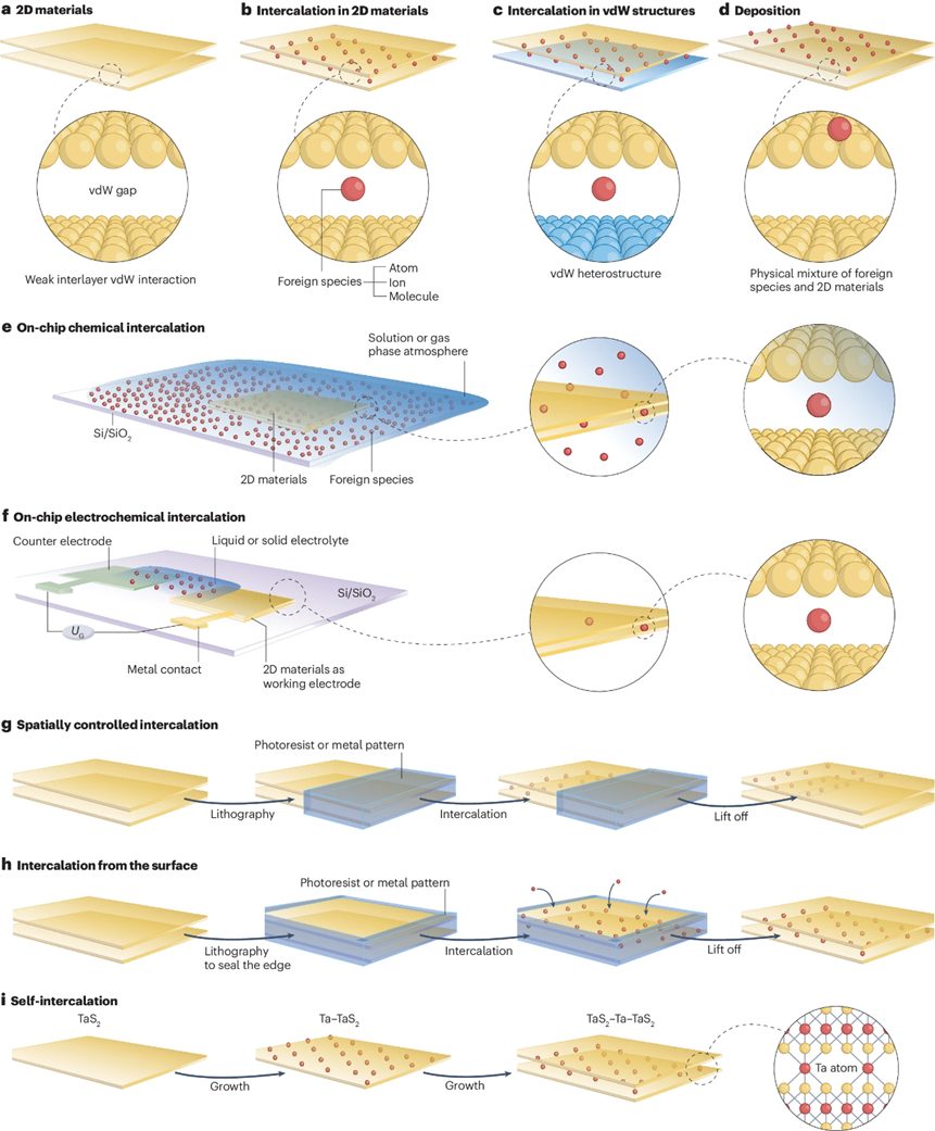 Nature Reviews Chemistry綜述：二維材料的插層帶來新興電子相轉移