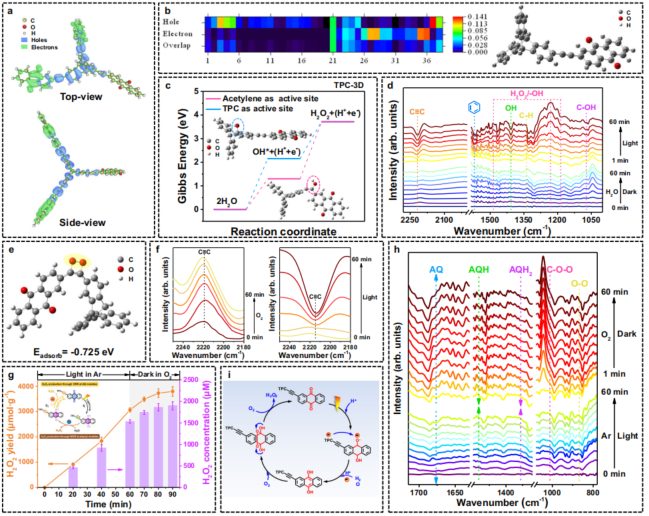 中山大學「國家杰青」歐陽鋼鋒團隊，最新Nature子刊！