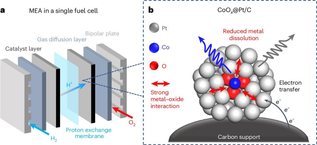 她，頂級名校博士！師從段鑲鋒/黃昱，一作發表最新Nature Catalysis！