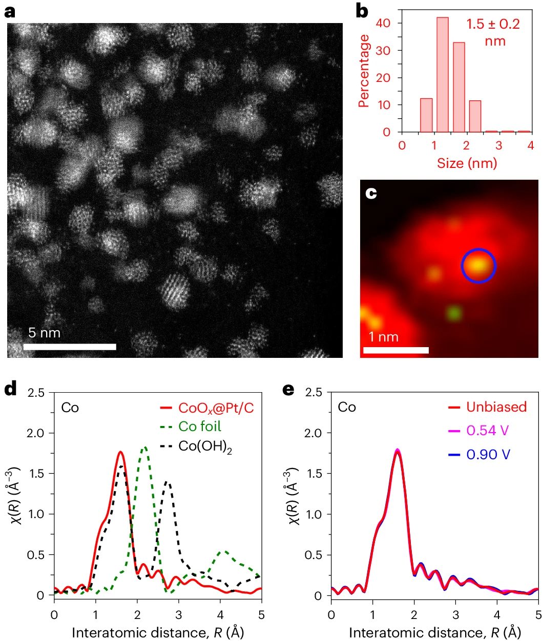 她，頂級名校博士！師從段鑲鋒/黃昱，一作發表最新Nature Catalysis！