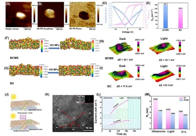 催化進展，8篇頂刊！EES、Angew、AFM、ACS Catalysis、Nano Letters等成果精選！