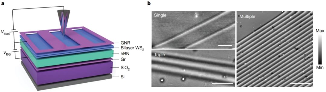 他，西安交大校友，一作兼通訊，24小時連發Science、Nature！