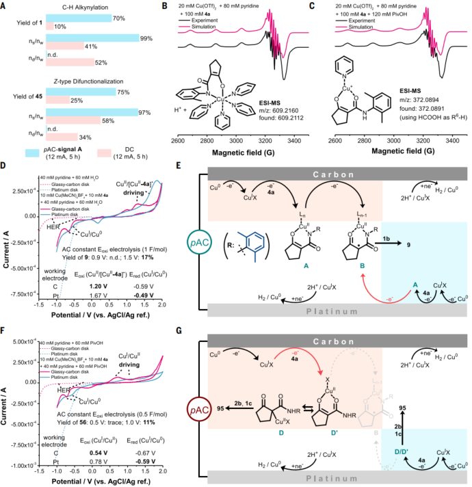 突破世界級難題！武漢大學「杰青」+「長江」+「萬人」，最新Science!