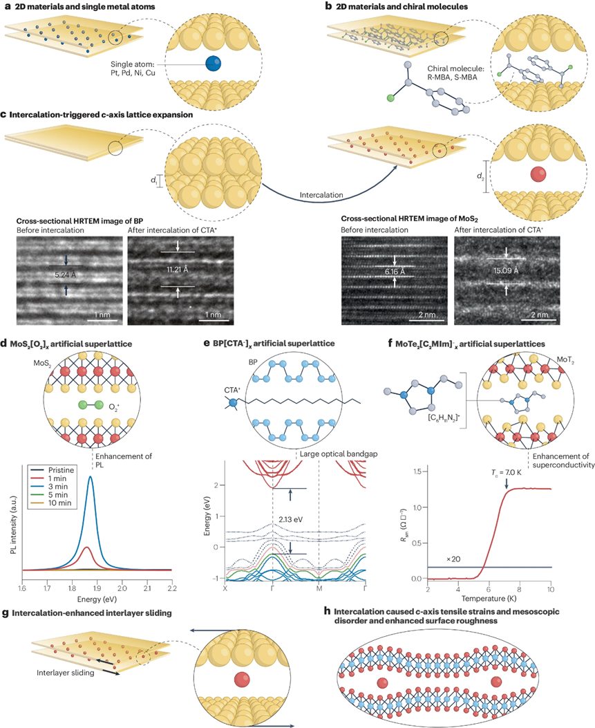 Nature Reviews Chemistry綜述：二維材料的插層帶來新興電子相轉移